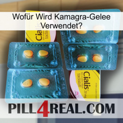 Wofür Wird Kamagra-Gelee Verwendetl cialis5